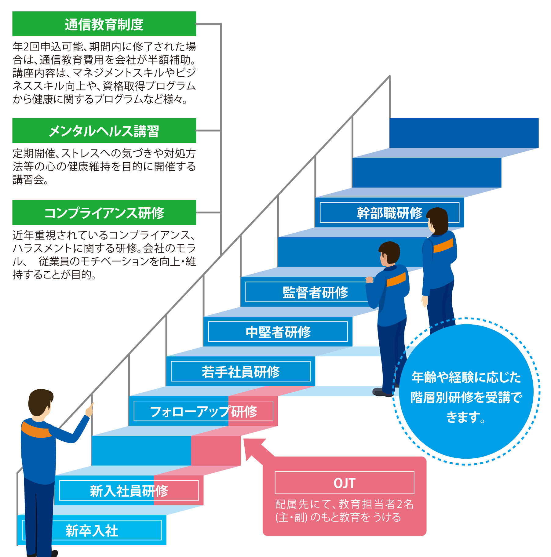 階層別研修とその他の教育制度の図